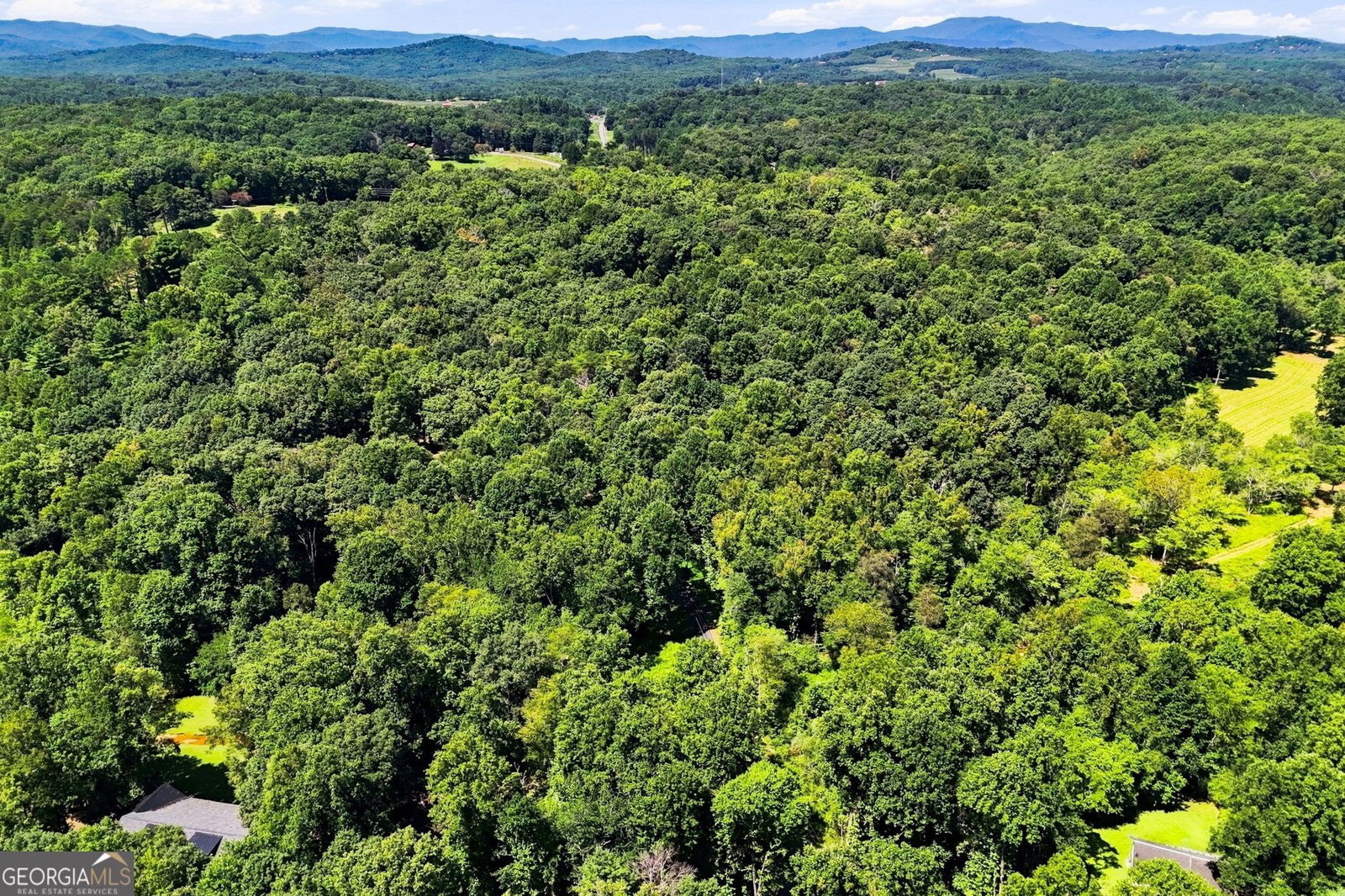175 Hidden Forest Blue Ridge - Photo 48