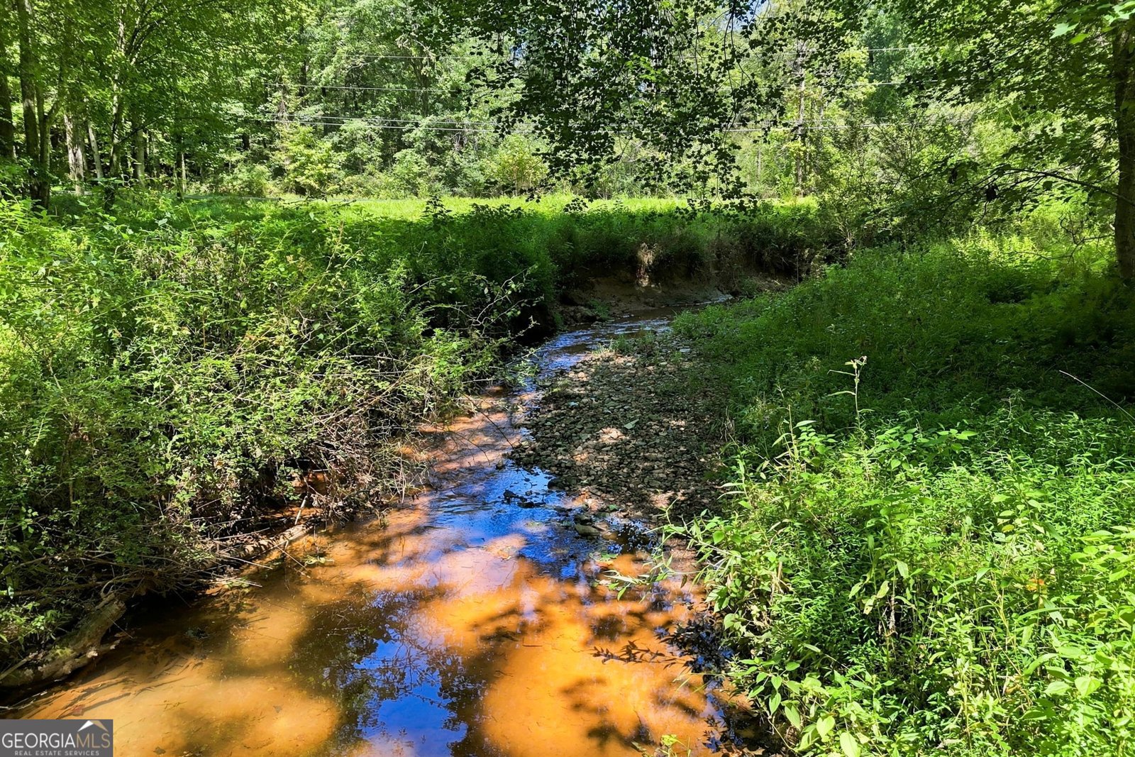 175 Hidden Forest Blue Ridge - Photo 49