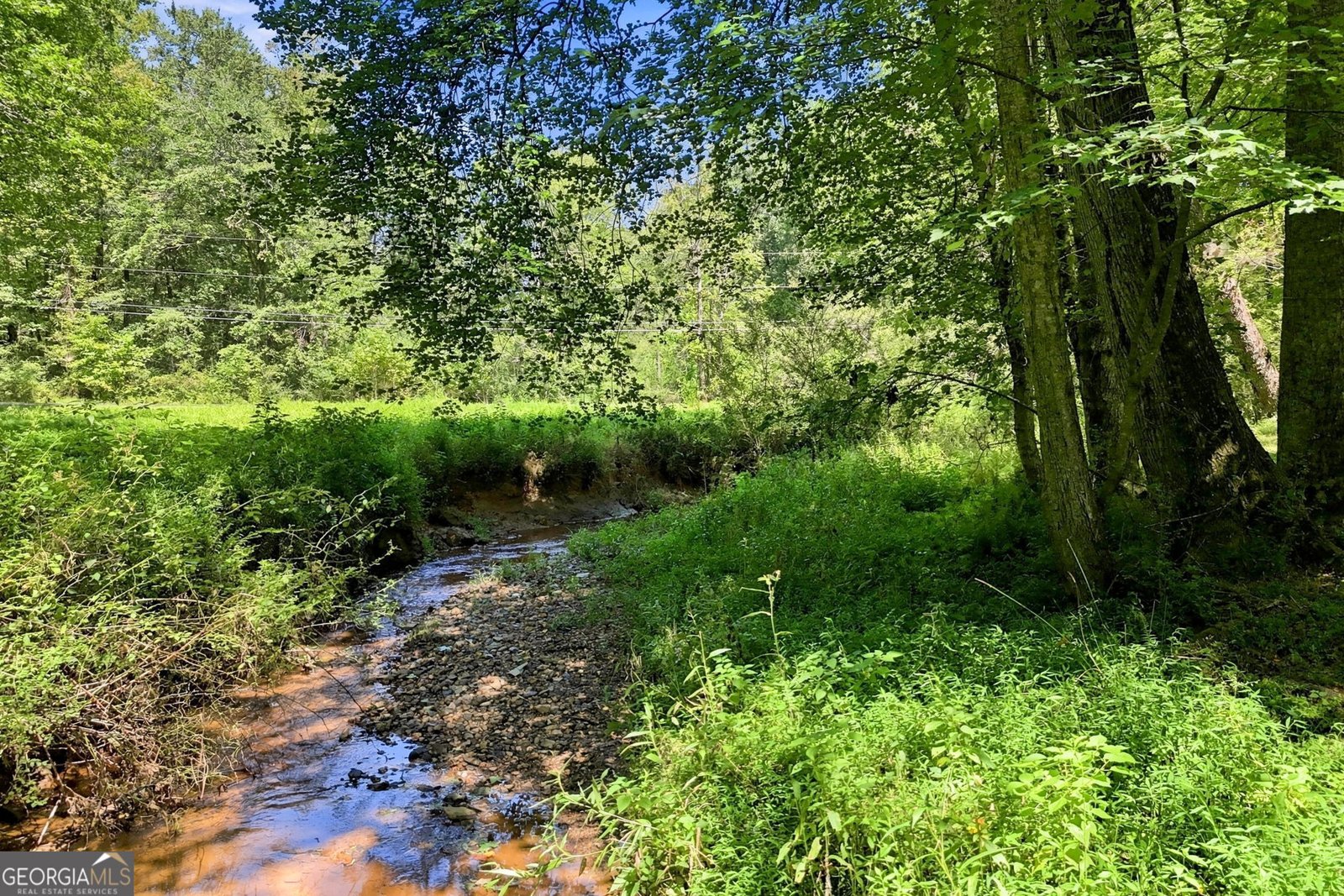 175 Hidden Forest Blue Ridge - Photo 50