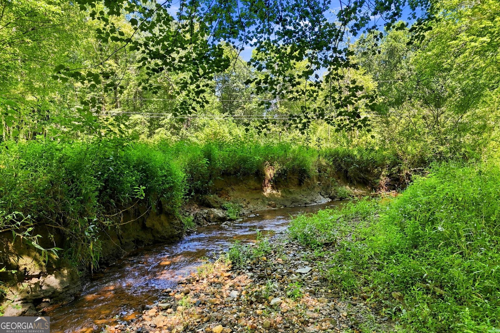 175 Hidden Forest Blue Ridge - Photo 51