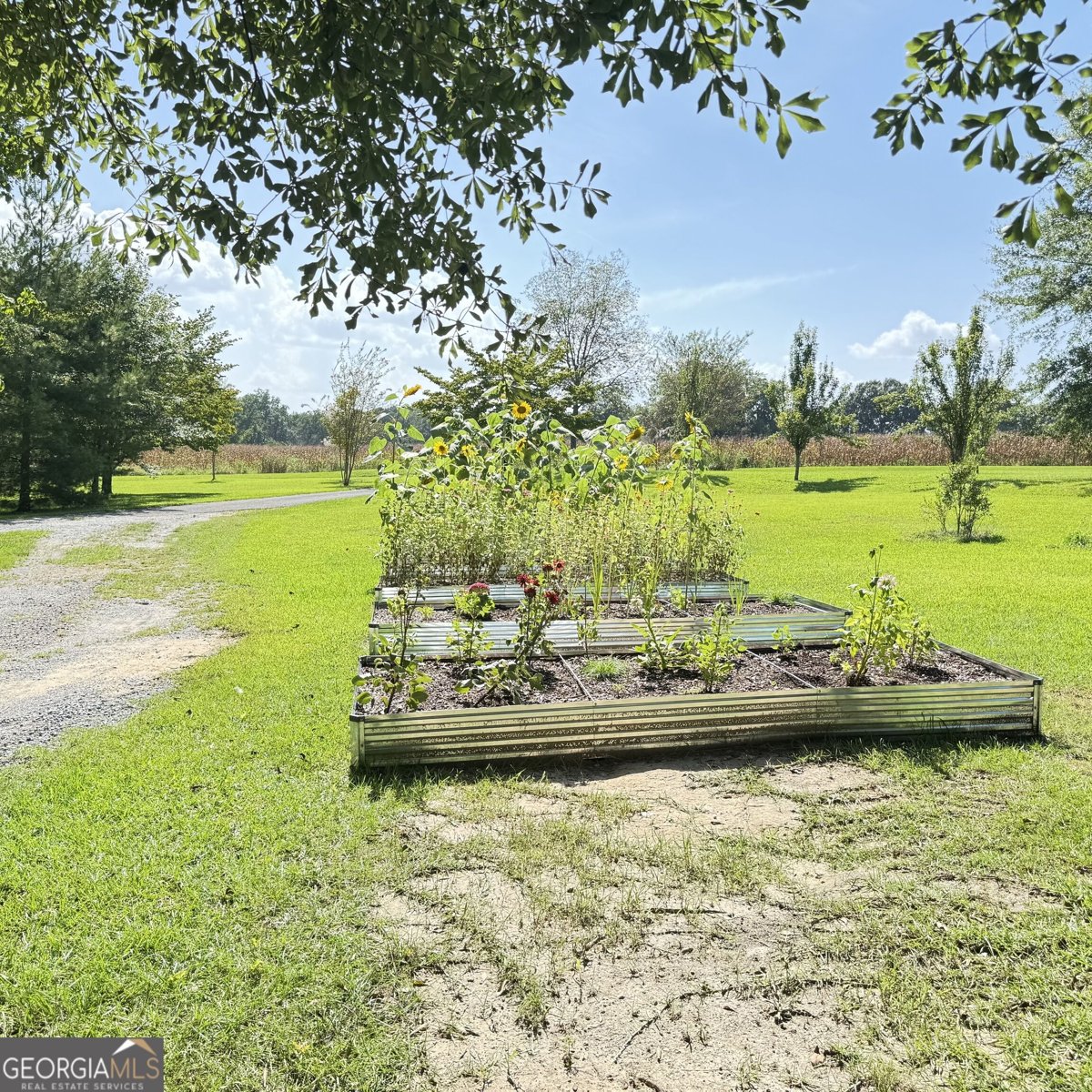 1027 1st Ave Avenue Centre - Photo 7