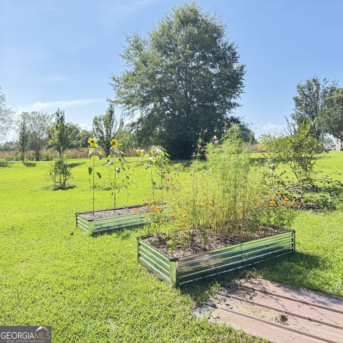1027 1st Ave Avenue Centre - Photo 9