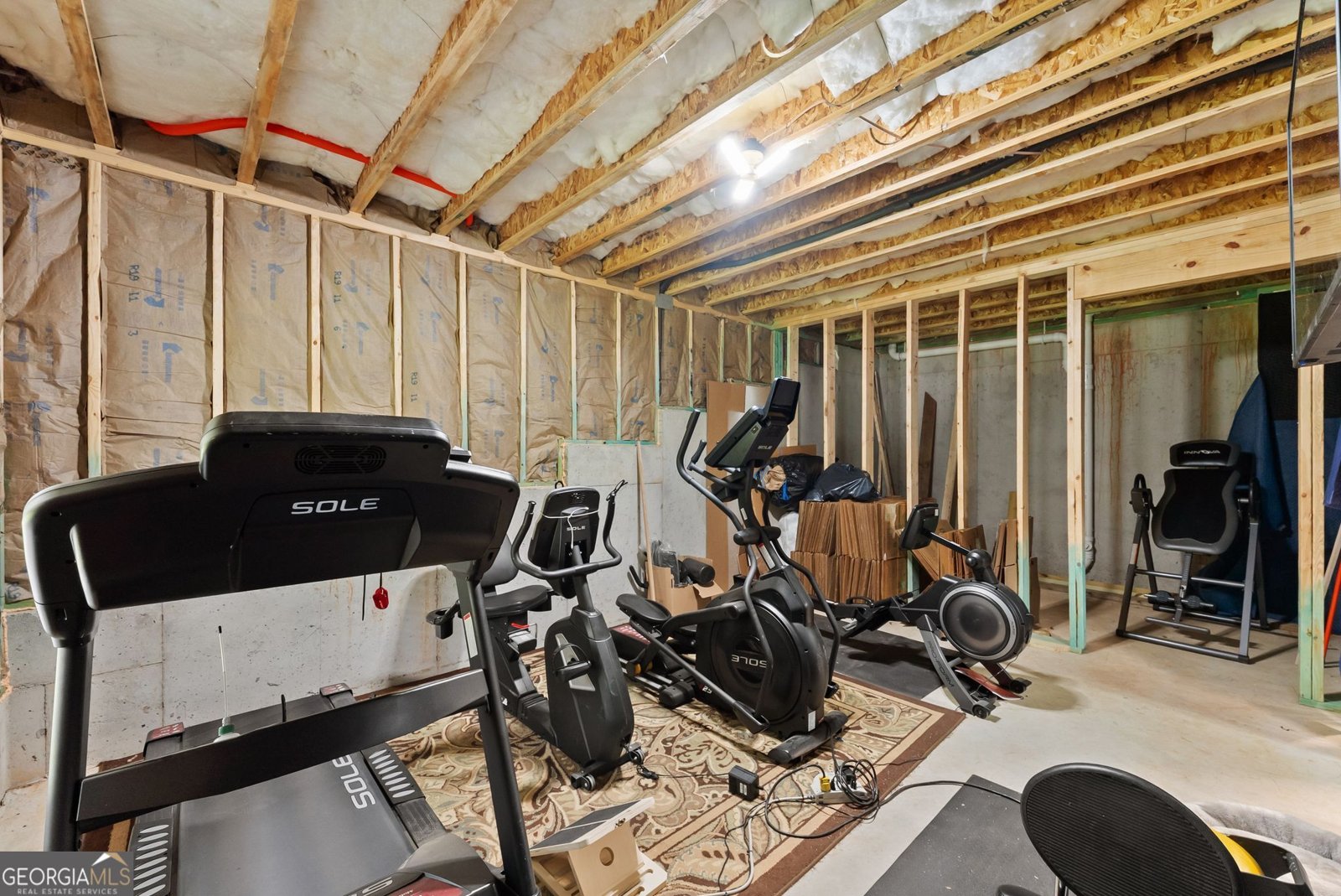 202 Old Lake Lane Dawsonville - Photo 53