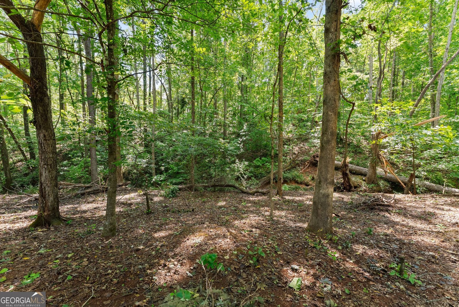 202 Old Lake Lane Dawsonville - Photo 67
