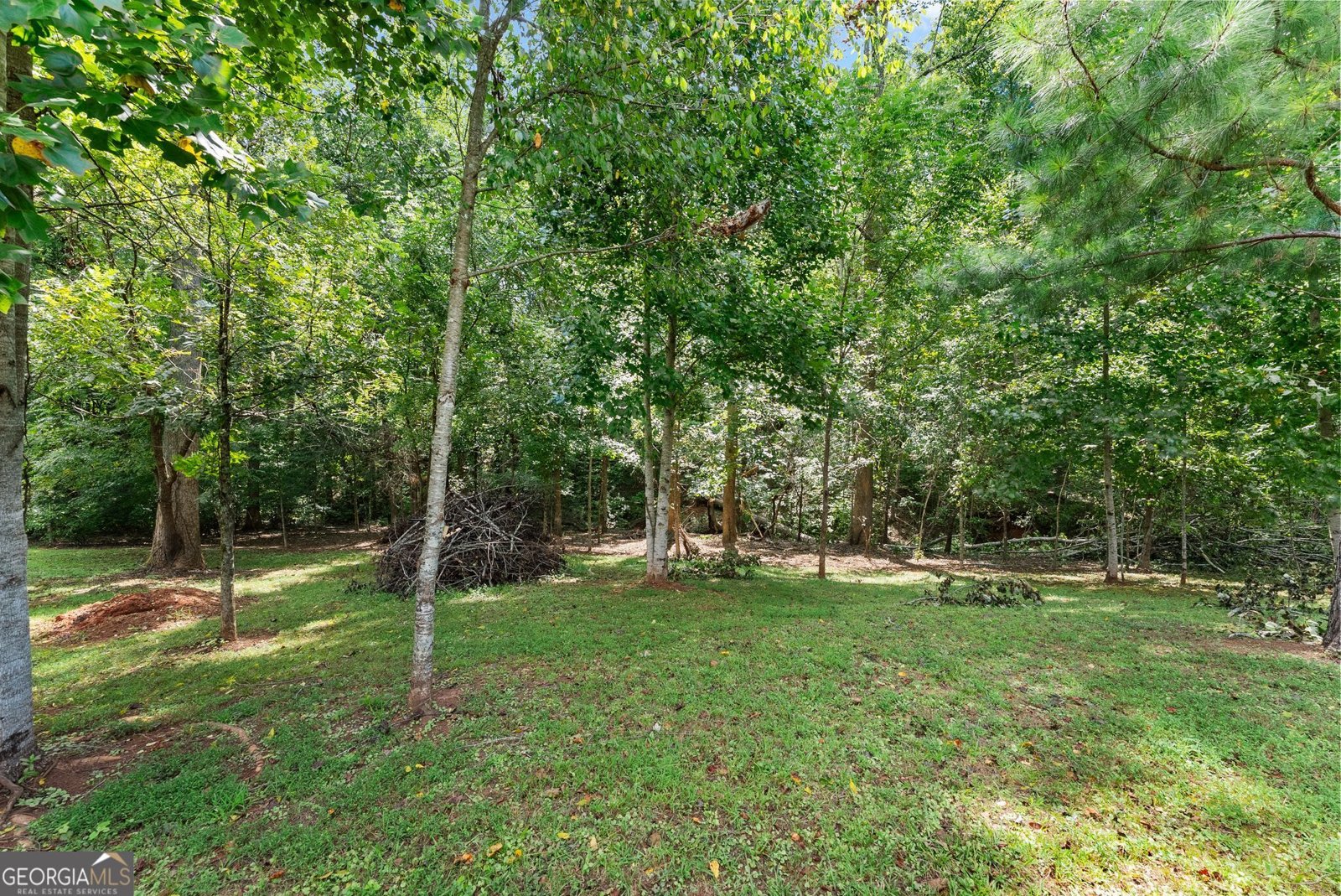 202 Old Lake Lane Dawsonville - Photo 68