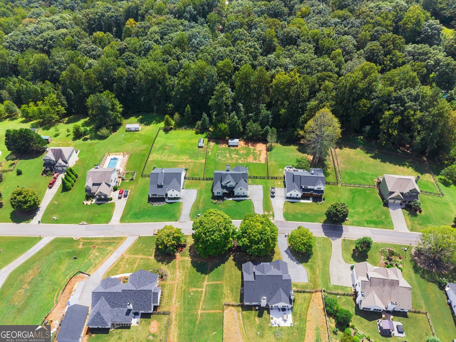 202 Old Lake Lane Dawsonville - Photo 72