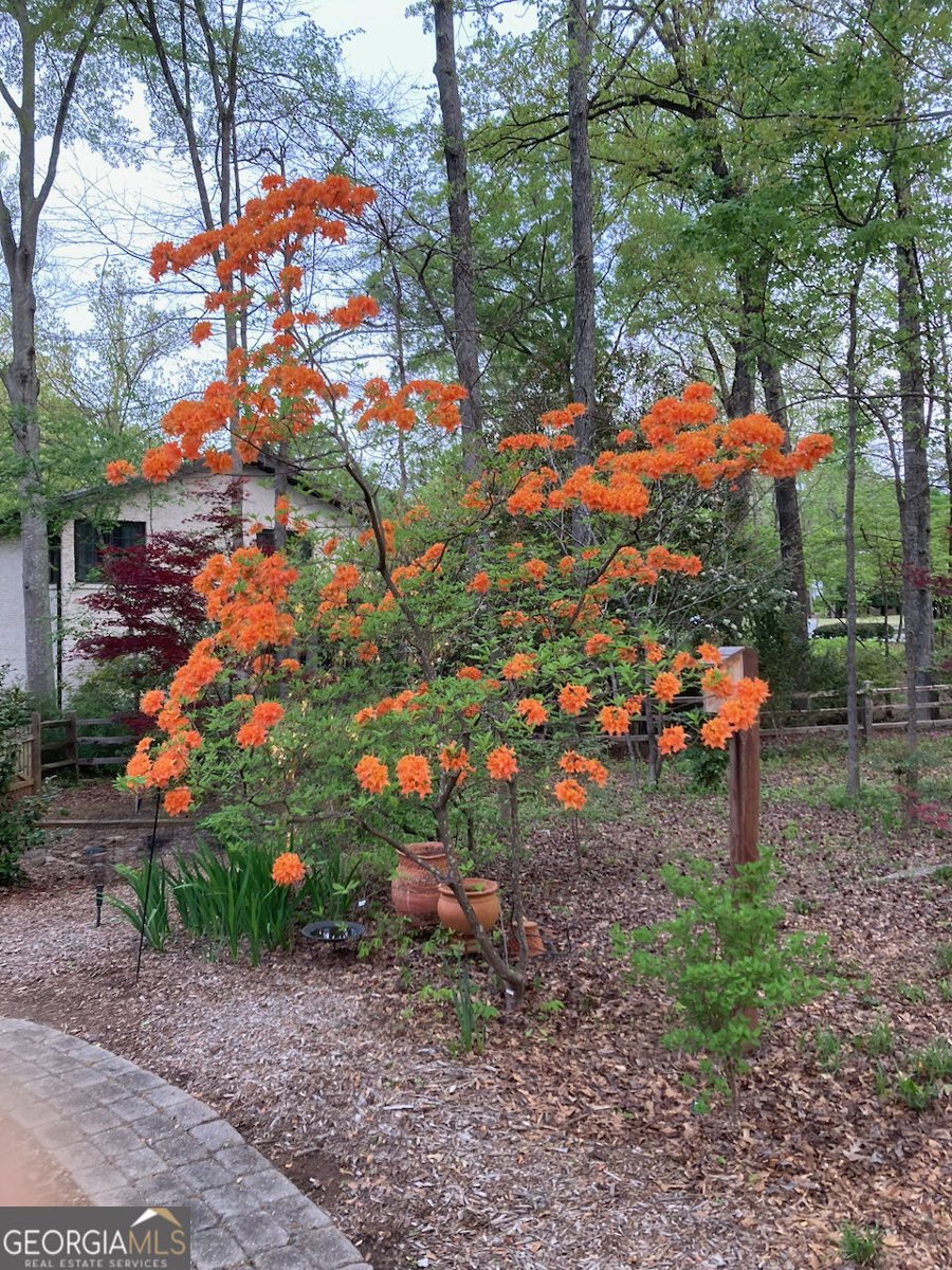 203 Aberdeen Drive Peachtree City - Photo 48