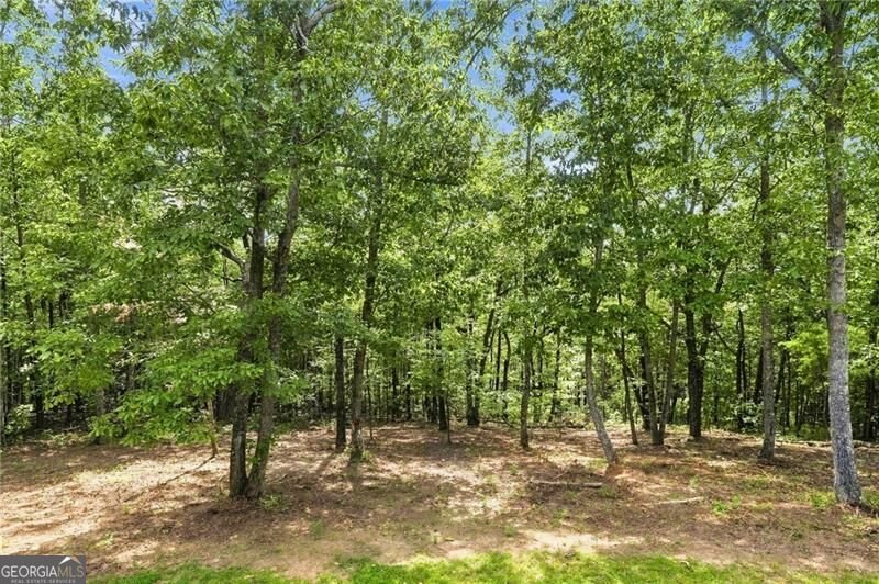 145 Ridgeline Road Talking Rock - Photo 45