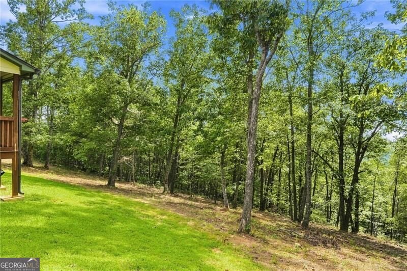 145 Ridgeline Road Talking Rock - Photo 46