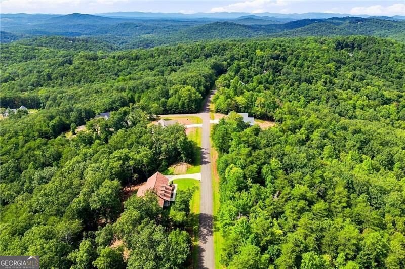 145 Ridgeline Road Talking Rock - Photo 57