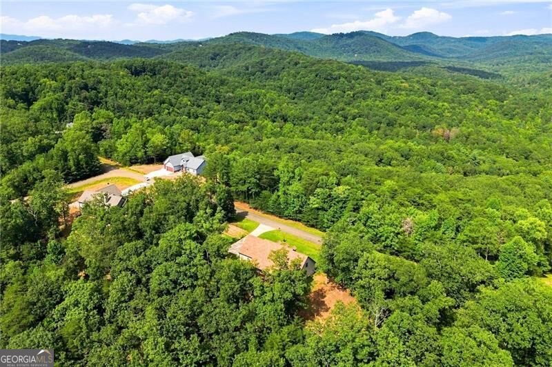 145 Ridgeline Road Talking Rock - Photo 59