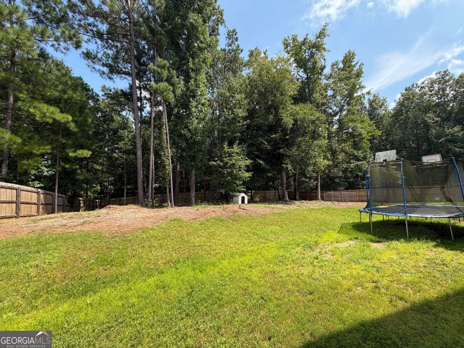 60 Charleston Drive Senoia - Photo 15