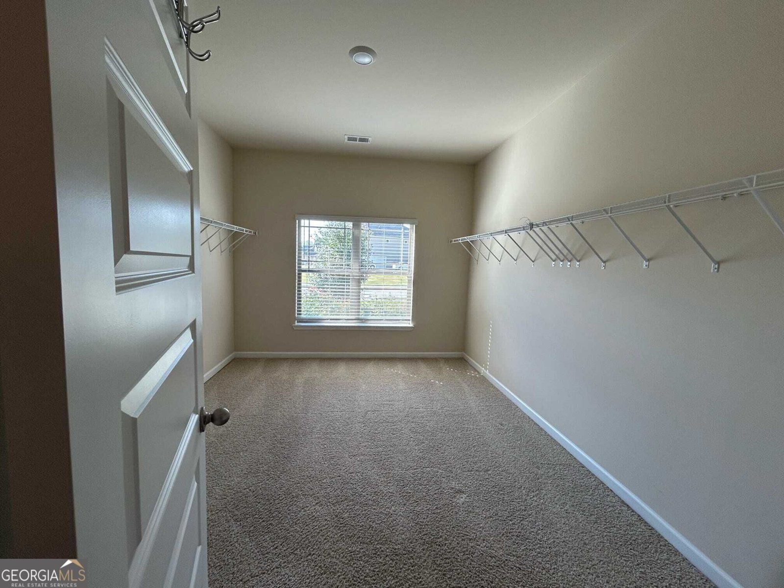 60 Charleston Drive Senoia - Photo 39