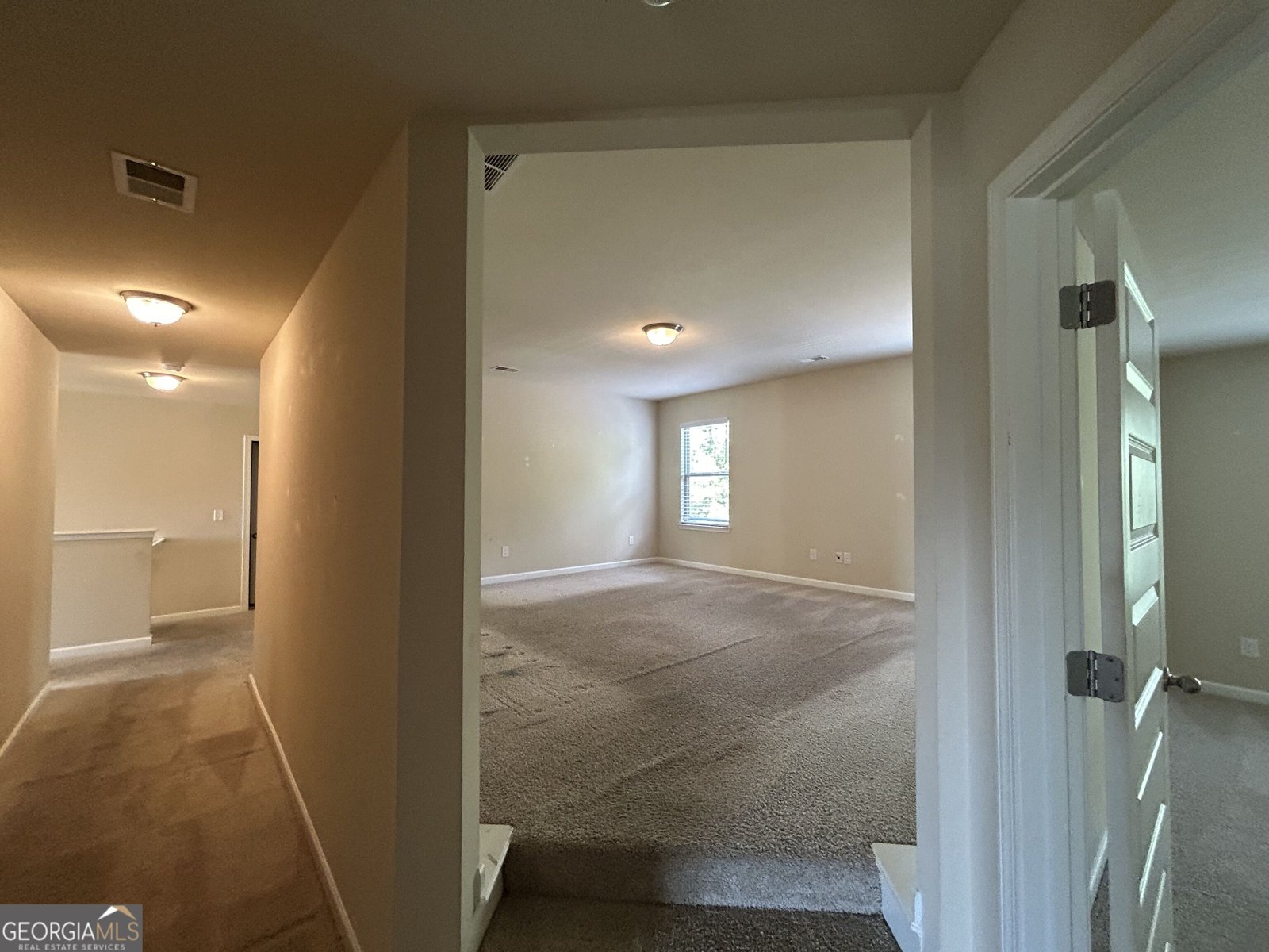 60 Charleston Drive Senoia - Photo 43