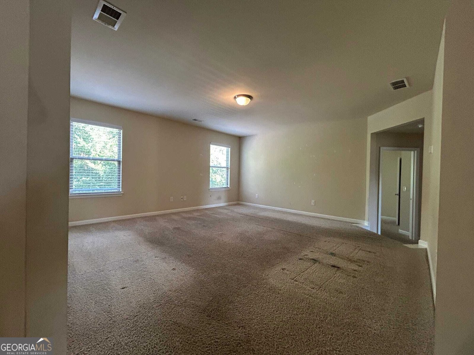 60 Charleston Drive Senoia - Photo 44