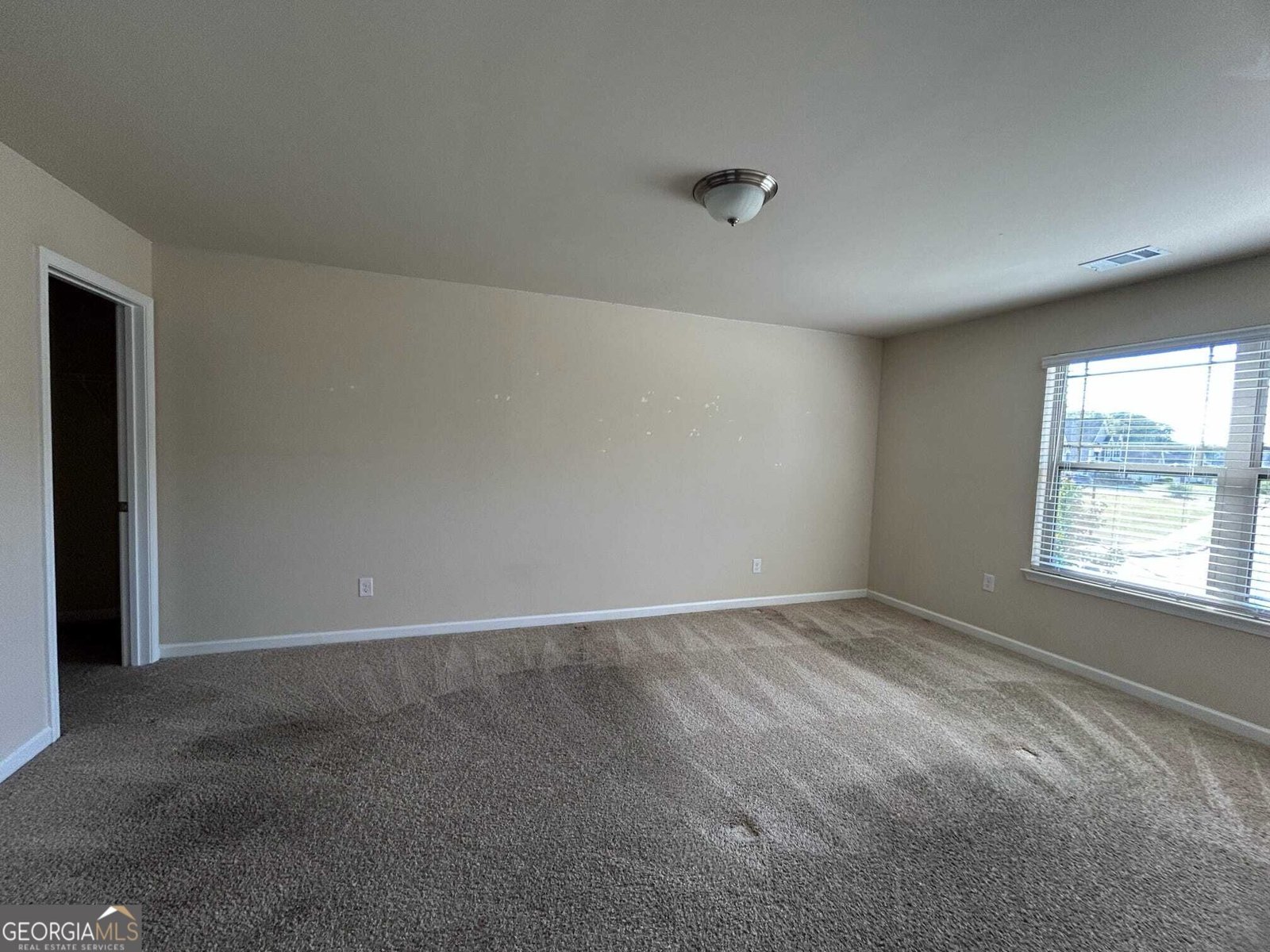 60 Charleston Drive Senoia - Photo 48