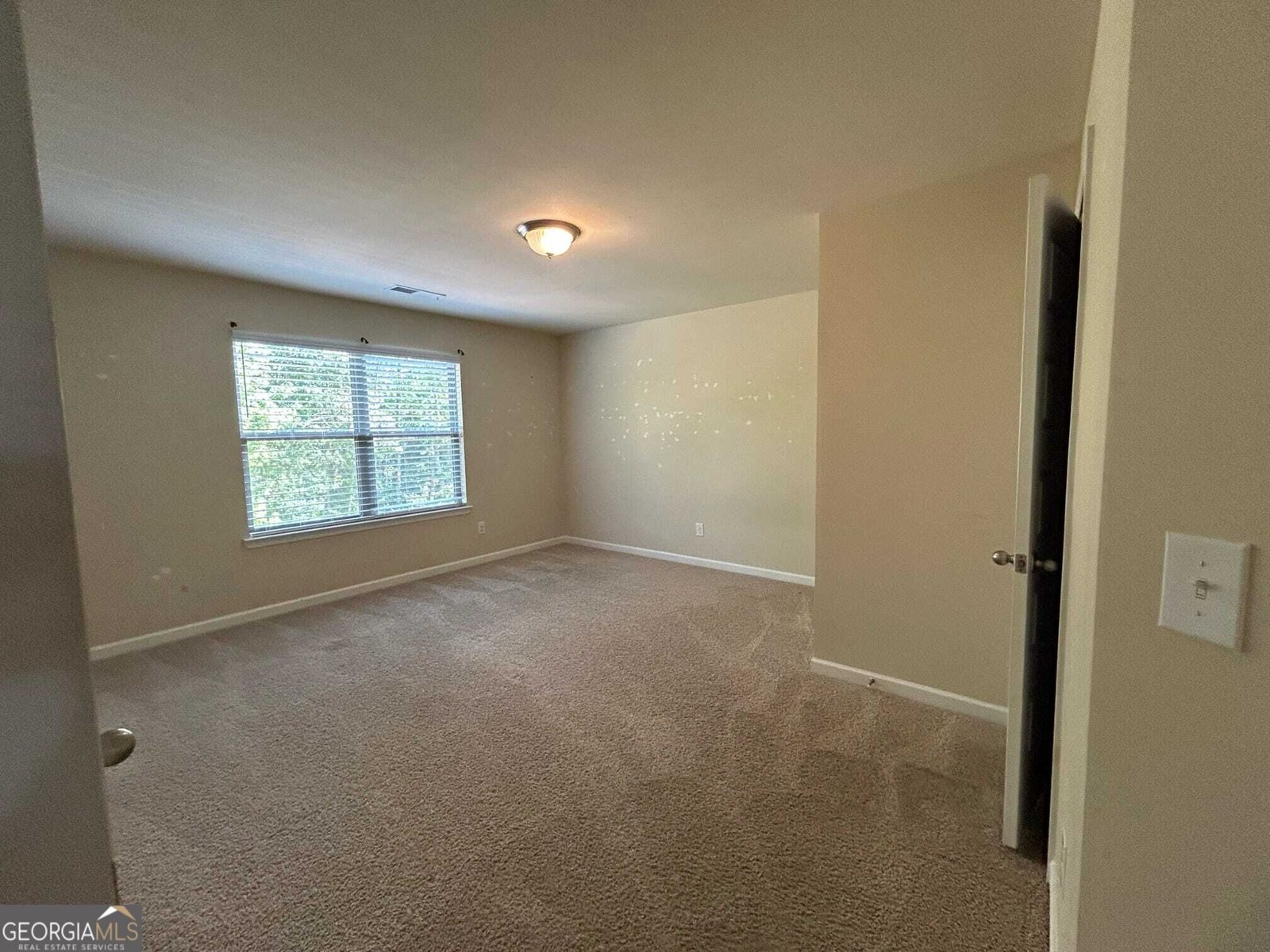 60 Charleston Drive Senoia - Photo 50