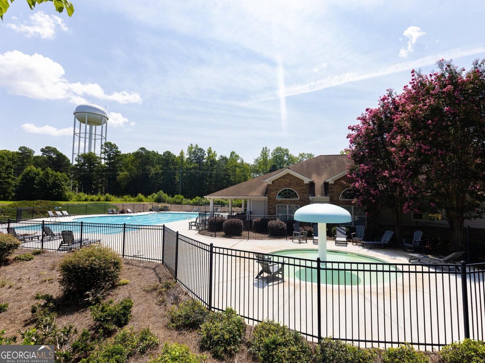 60 Charleston Drive Senoia - Photo 72