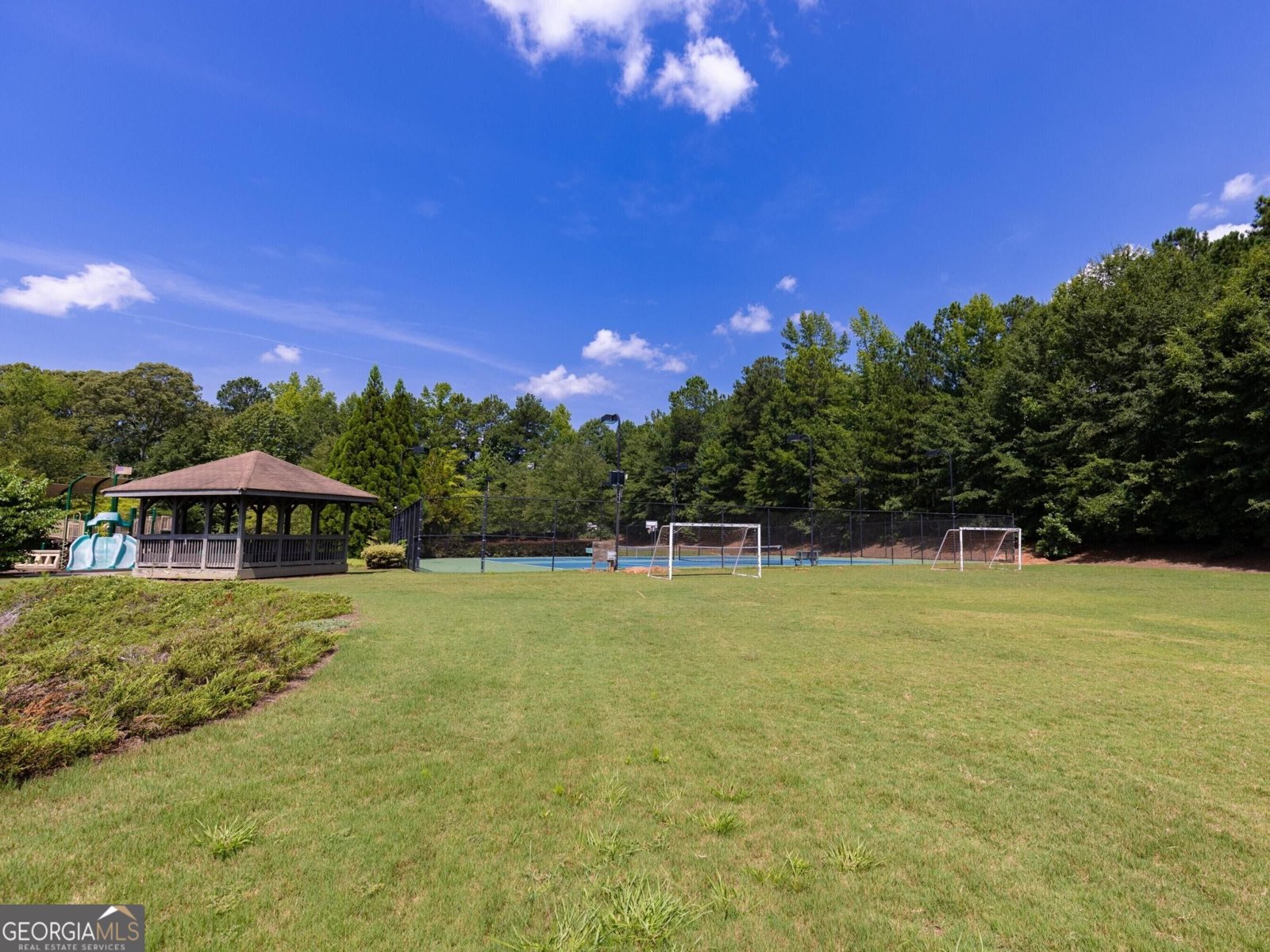 60 Charleston Drive Senoia - Photo 90