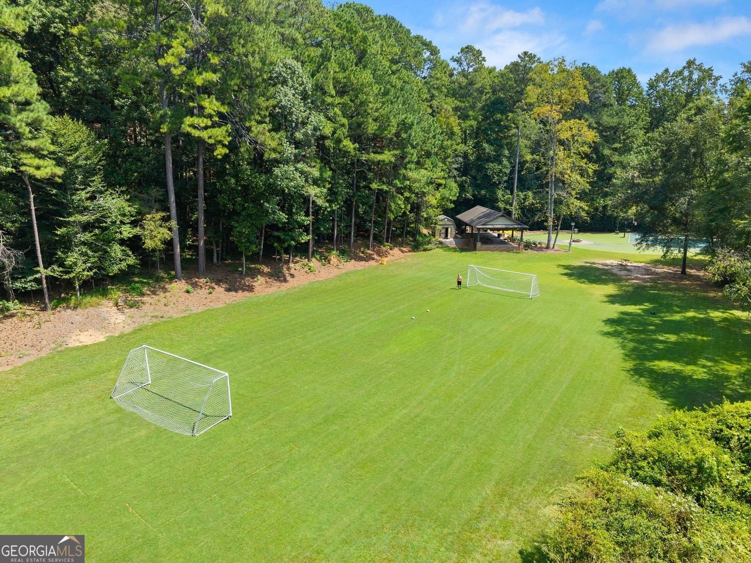3040 Roxburgh Drive Roswell - Photo 75