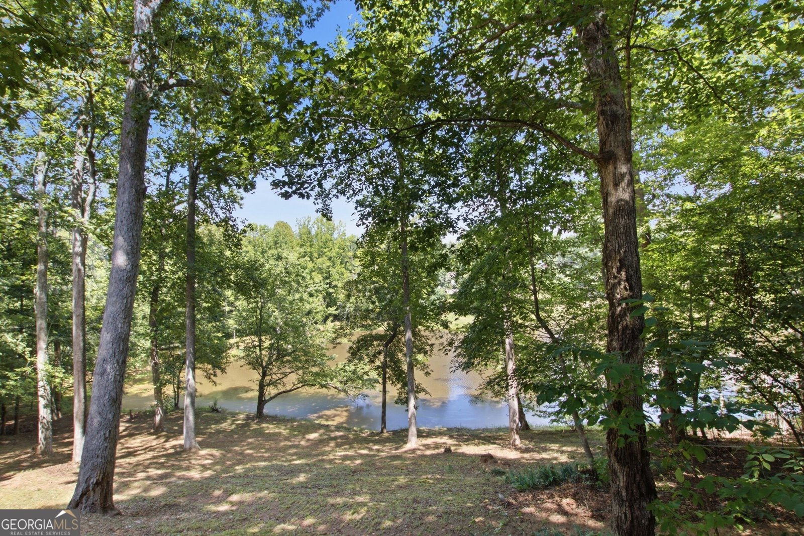 327 Kissimmee Trail Cornelia - Photo 39