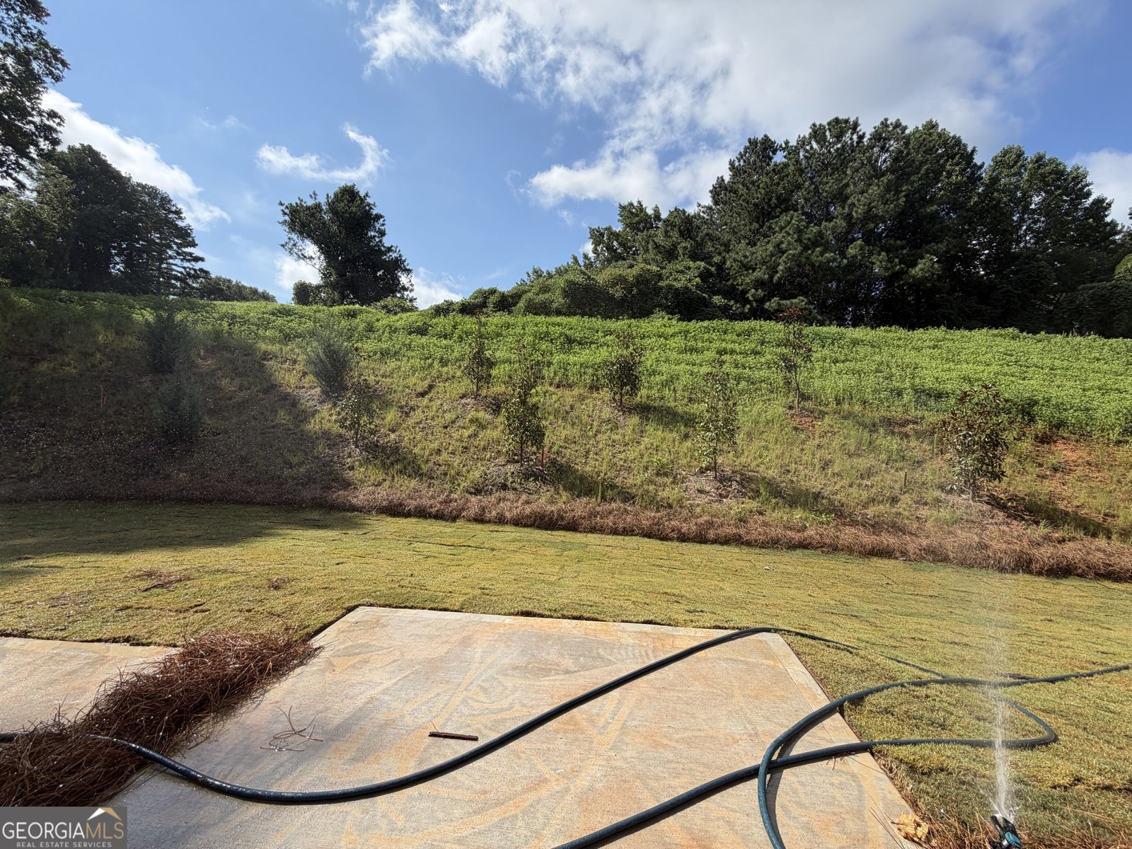 5 Trace Bluff Dawsonville - Photo 24