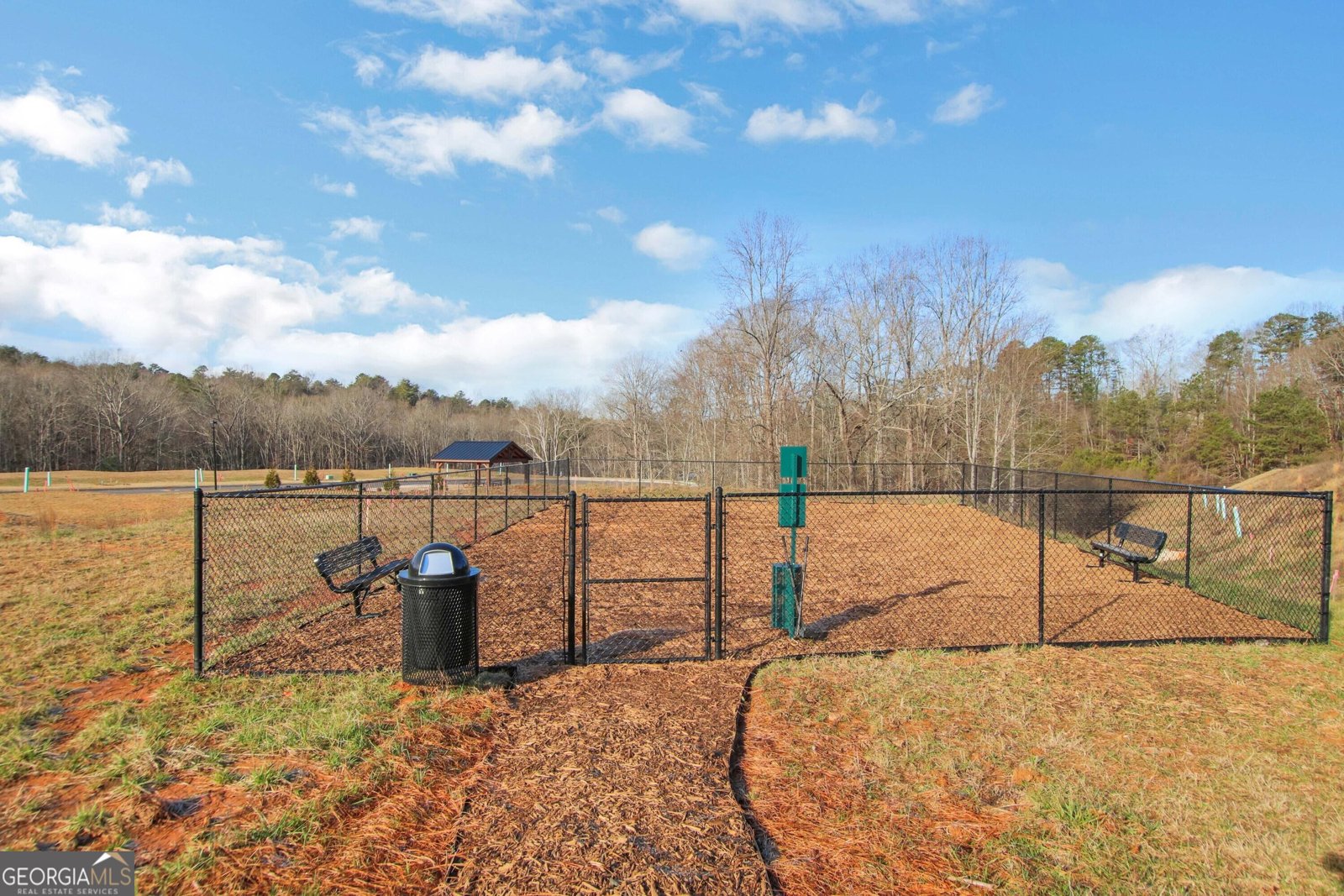 5 Trace Bluff Dawsonville - Photo 31