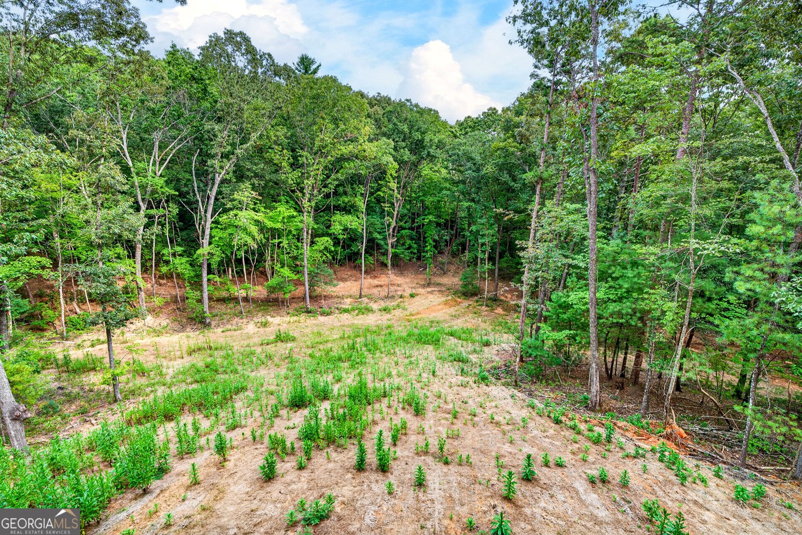 1030 Old Flat Branch Road Ellijay - Photo 44