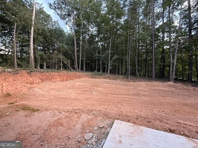 167 Iron Bound Dallas - Photo 10