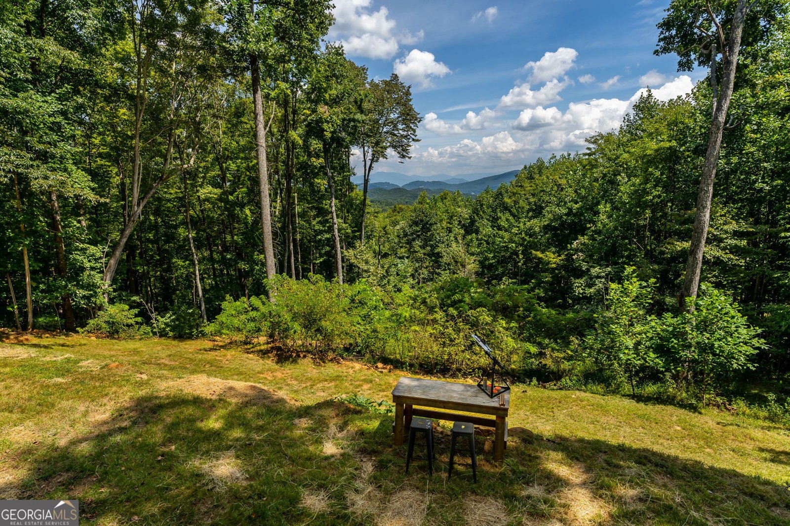 579 Overlook Circle Young Harris - Photo 44