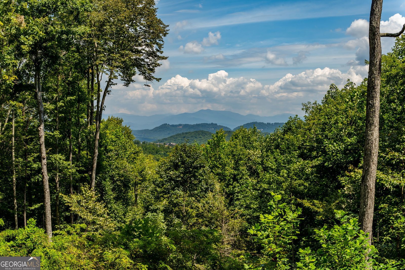 579 Overlook Circle Young Harris - Photo 45