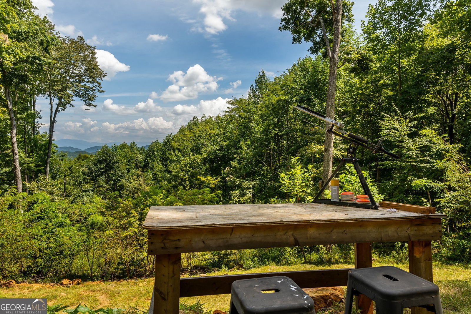 579 Overlook Circle Young Harris - Photo 46