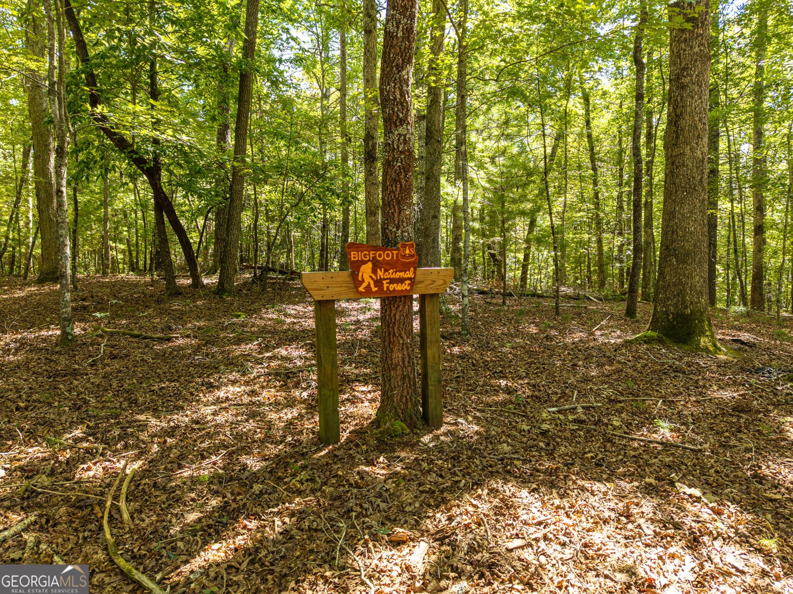 46 Gooseberry Trail Blue Ridge - Photo 34