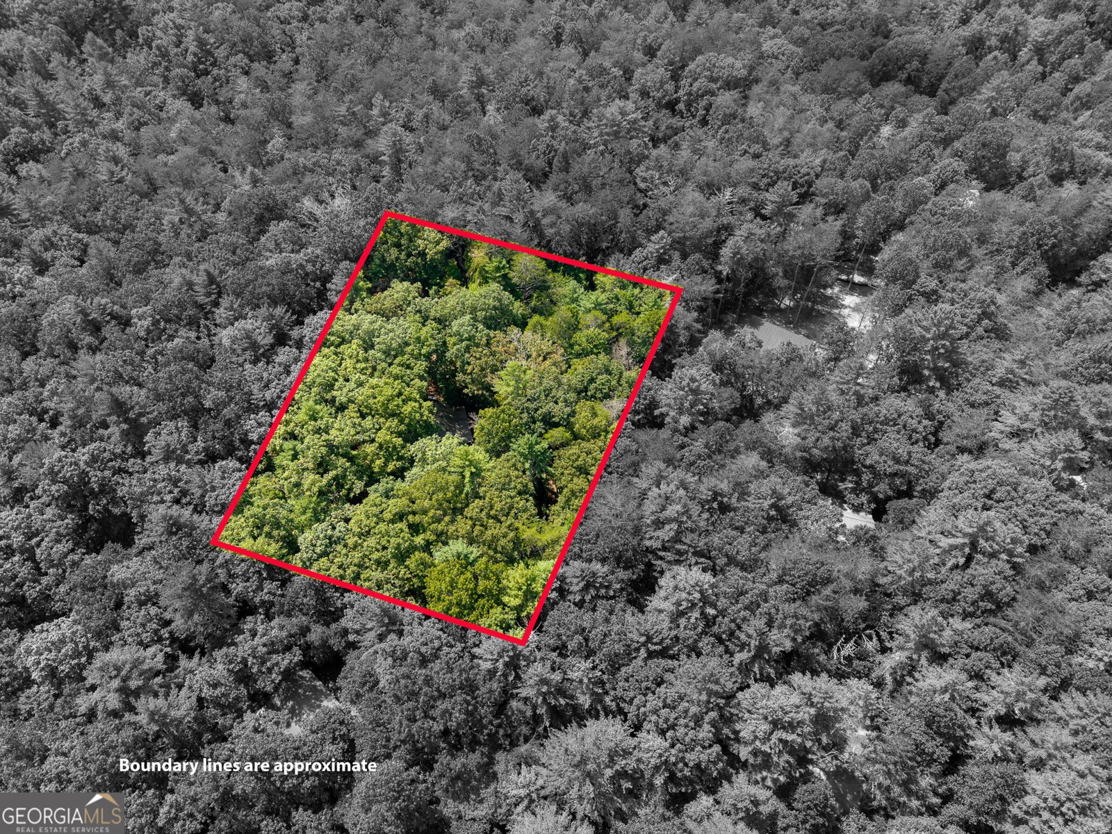 46 Gooseberry Trail Blue Ridge - Photo 35