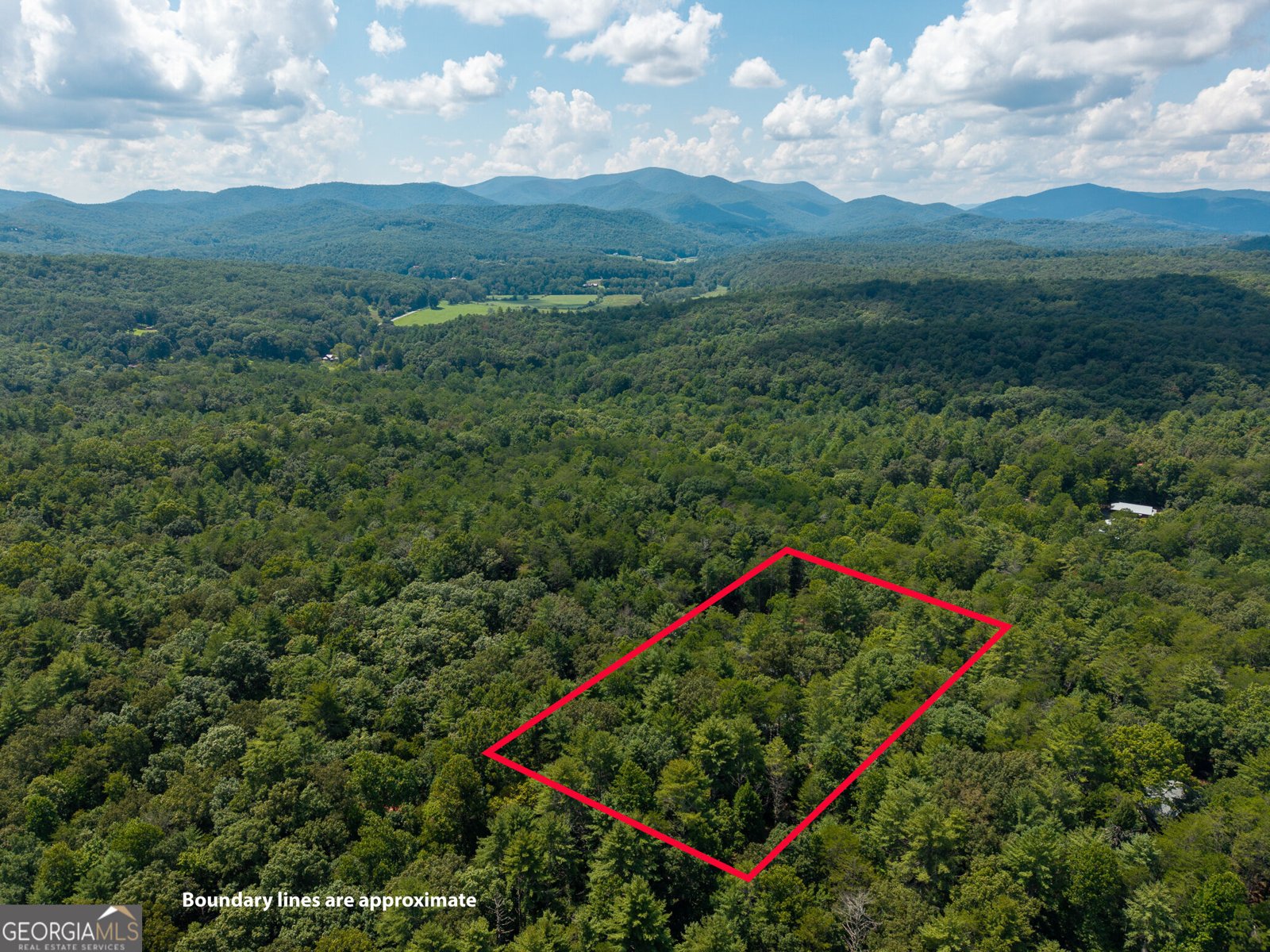 46 Gooseberry Trail Blue Ridge - Photo 36