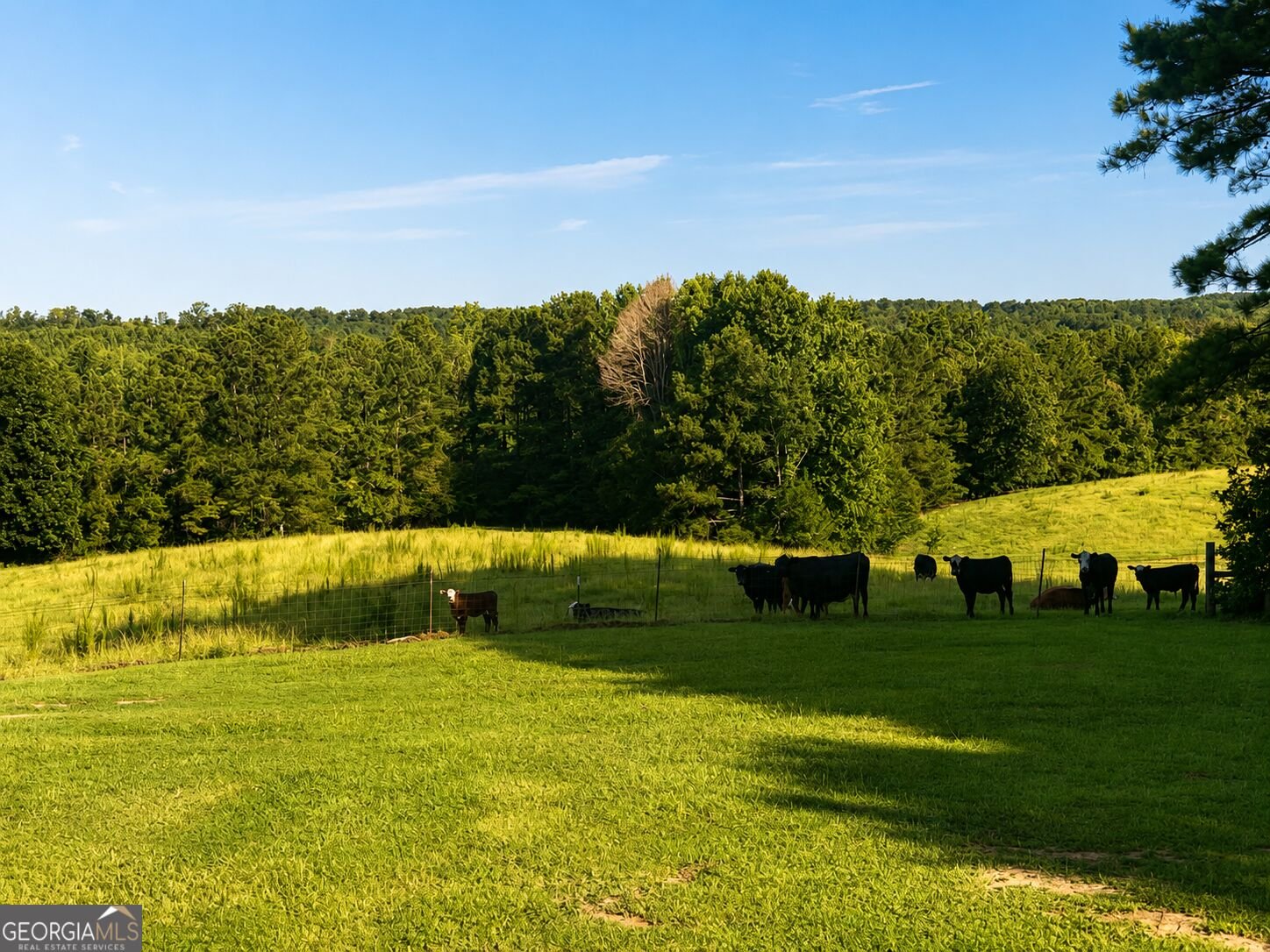 970 Nelms Road Franklin - Photo 32