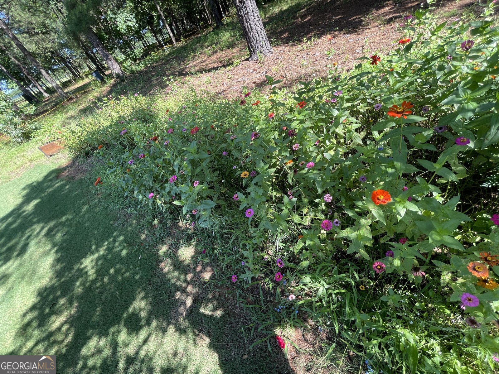 201 Parker Road McDonough - Photo 24