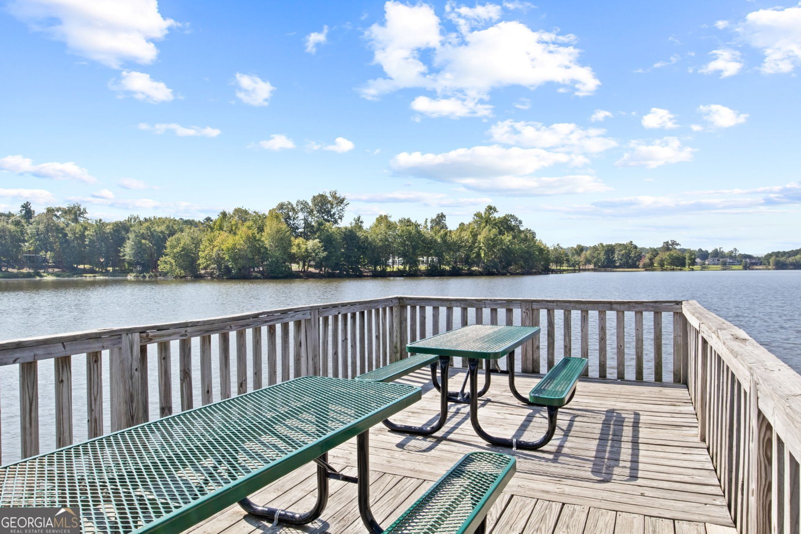 140 Greenview Drive Newnan - Photo 58