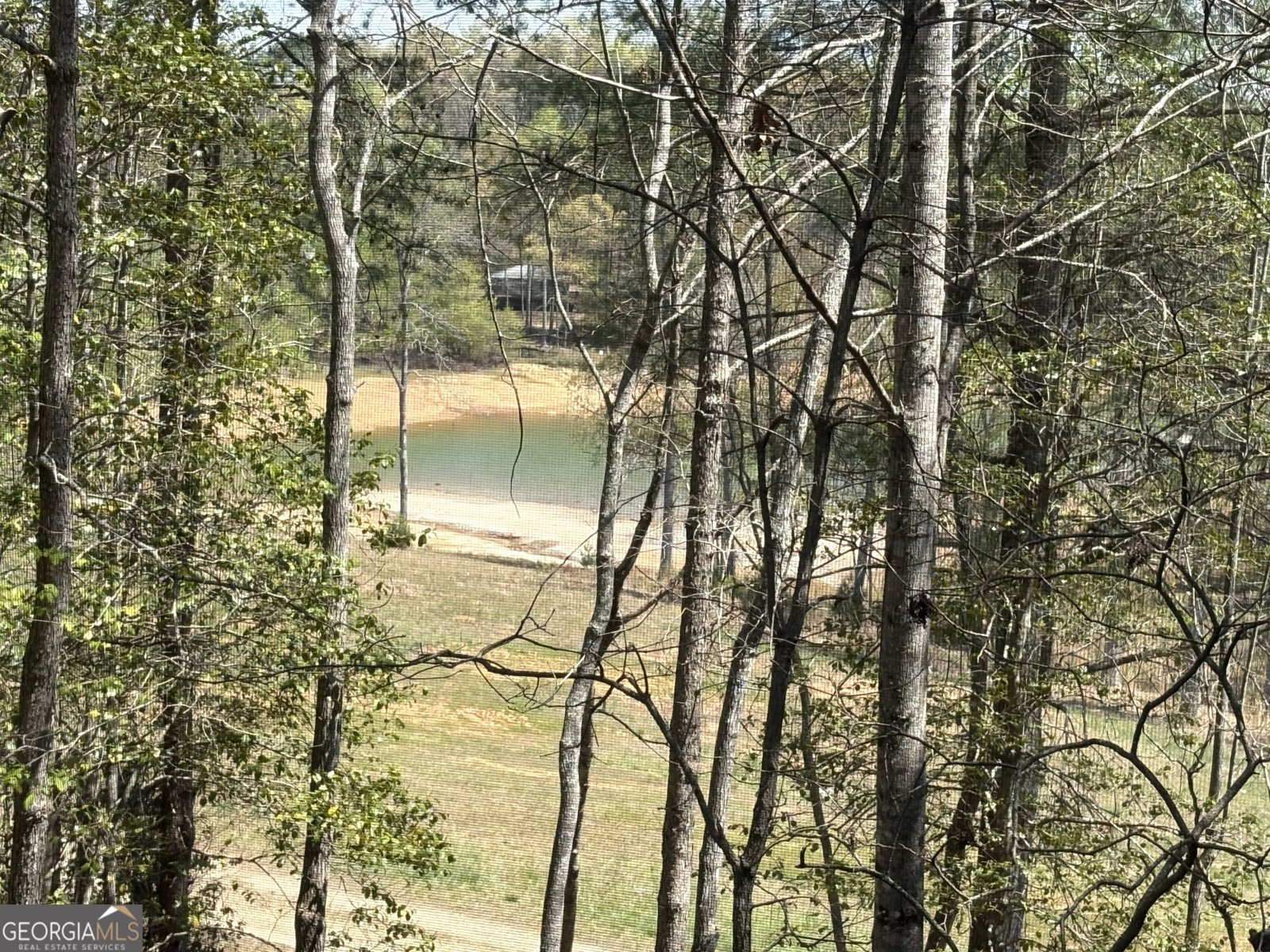 238 Virginia Lane Blairsville - Photo 35