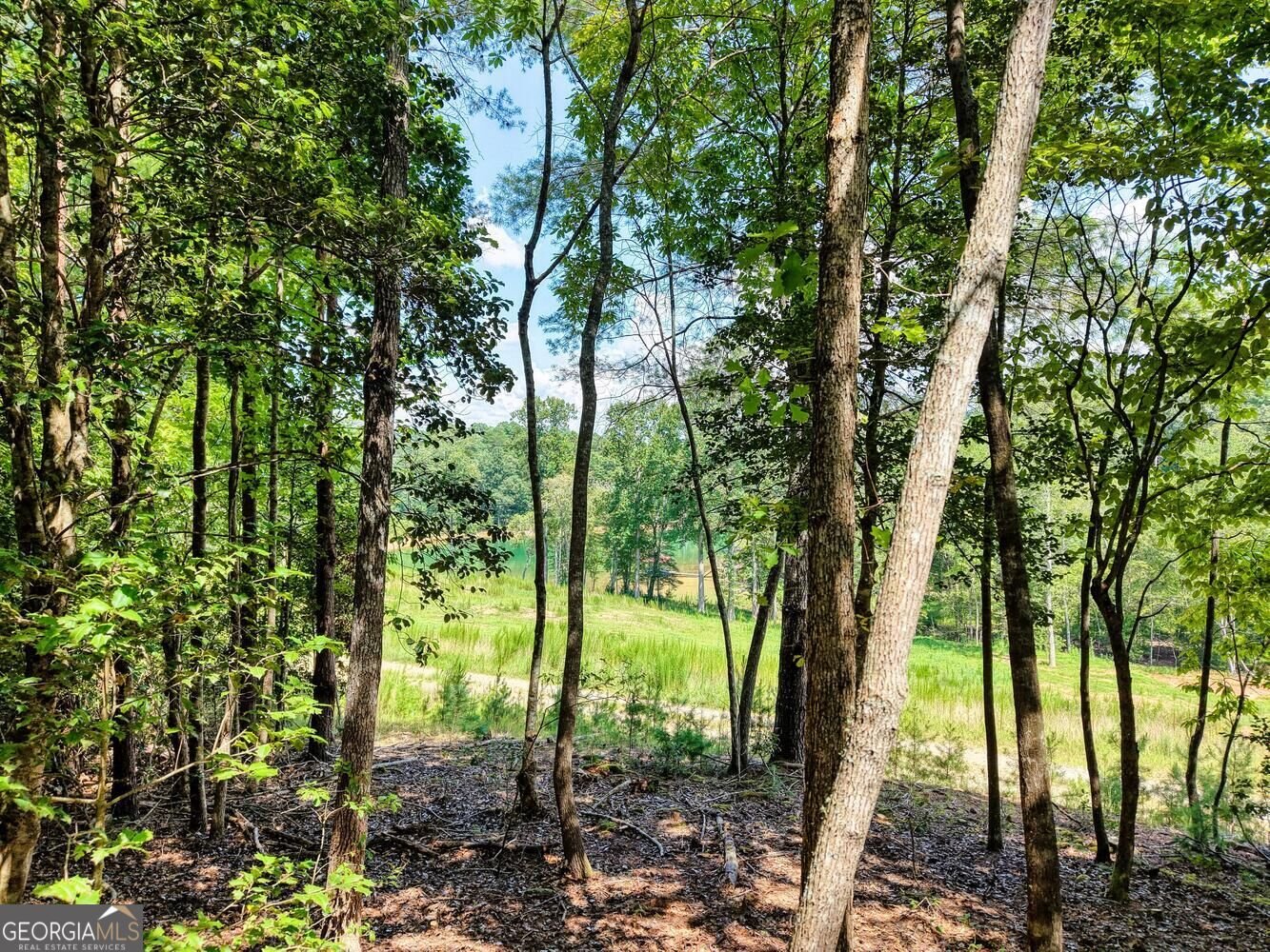 238 Virginia Lane Blairsville - Photo 36