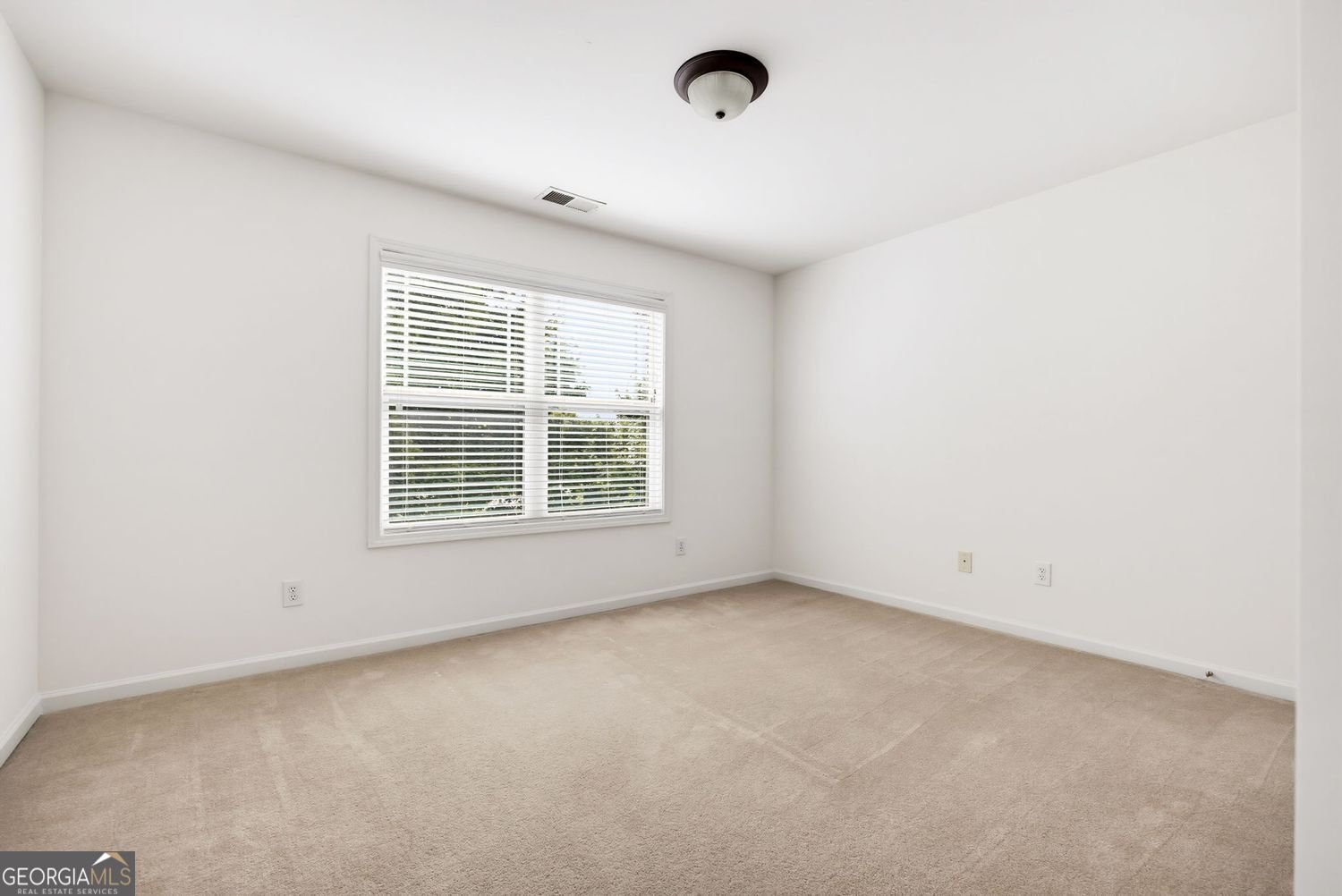 210 Harmony Lake Drive Canton - Photo 28