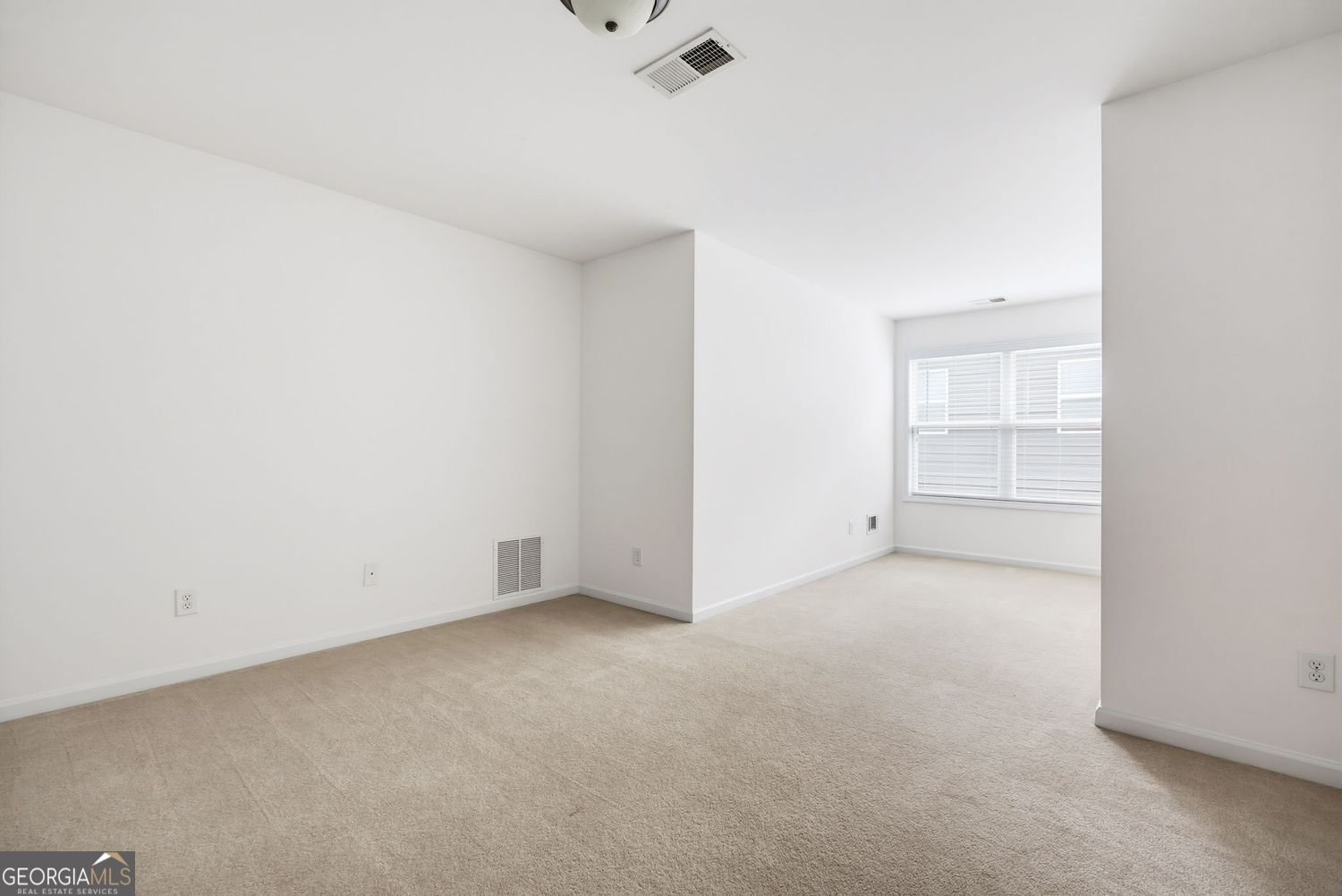 210 Harmony Lake Drive Canton - Photo 30