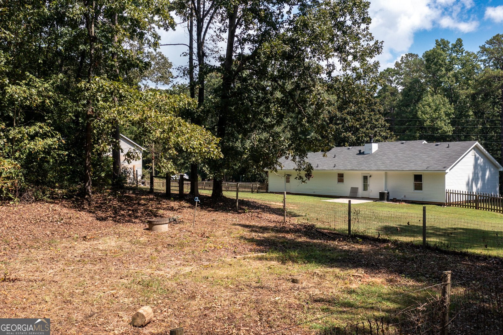 117 Hardy Road Senoia - Photo 15