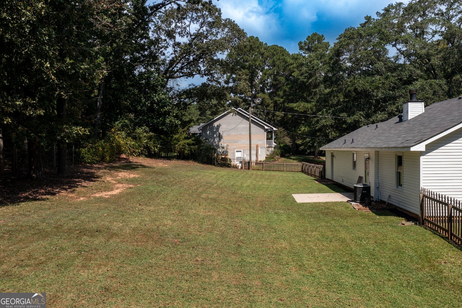 117 Hardy Road Senoia - Photo 17