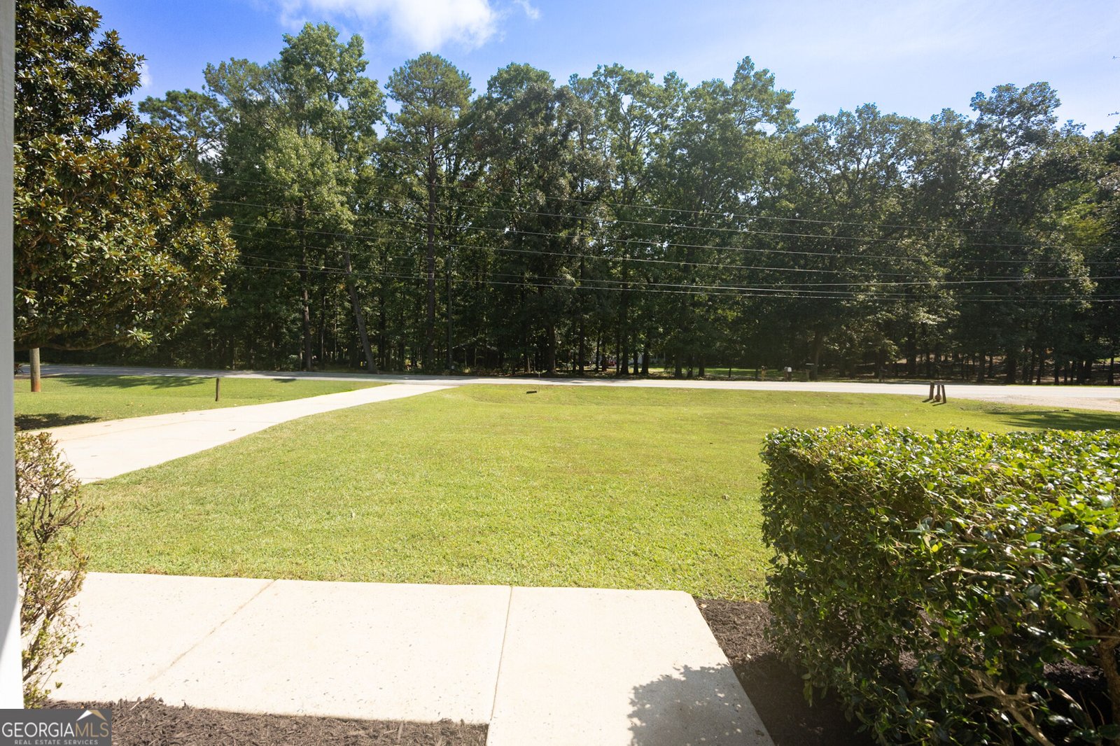 117 Hardy Road Senoia - Photo 21
