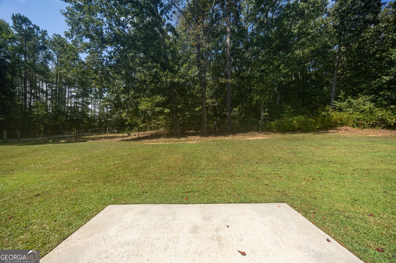 117 Hardy Road Senoia - Photo 46