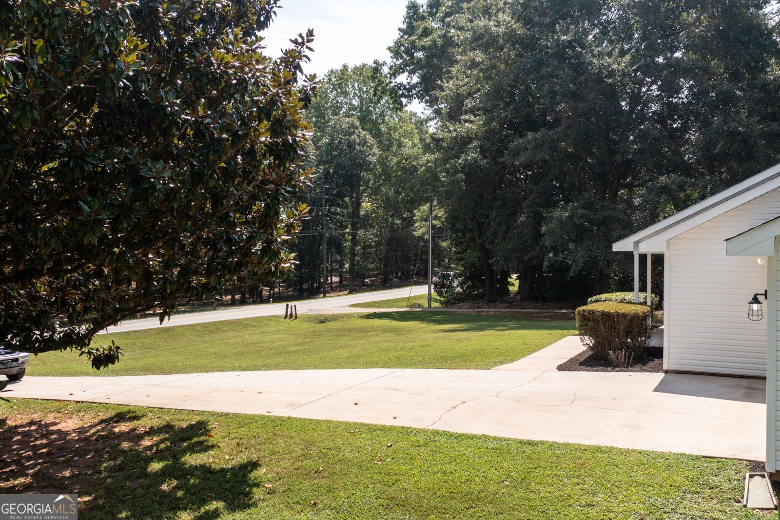 117 Hardy Road Senoia - Photo 7