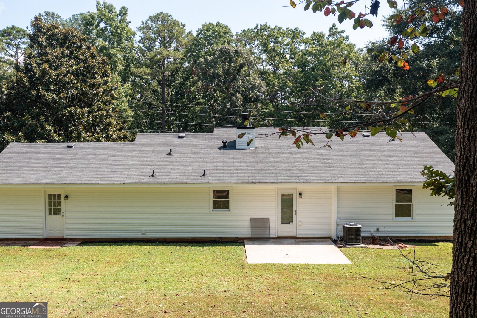 117 Hardy Road Senoia - Photo 8