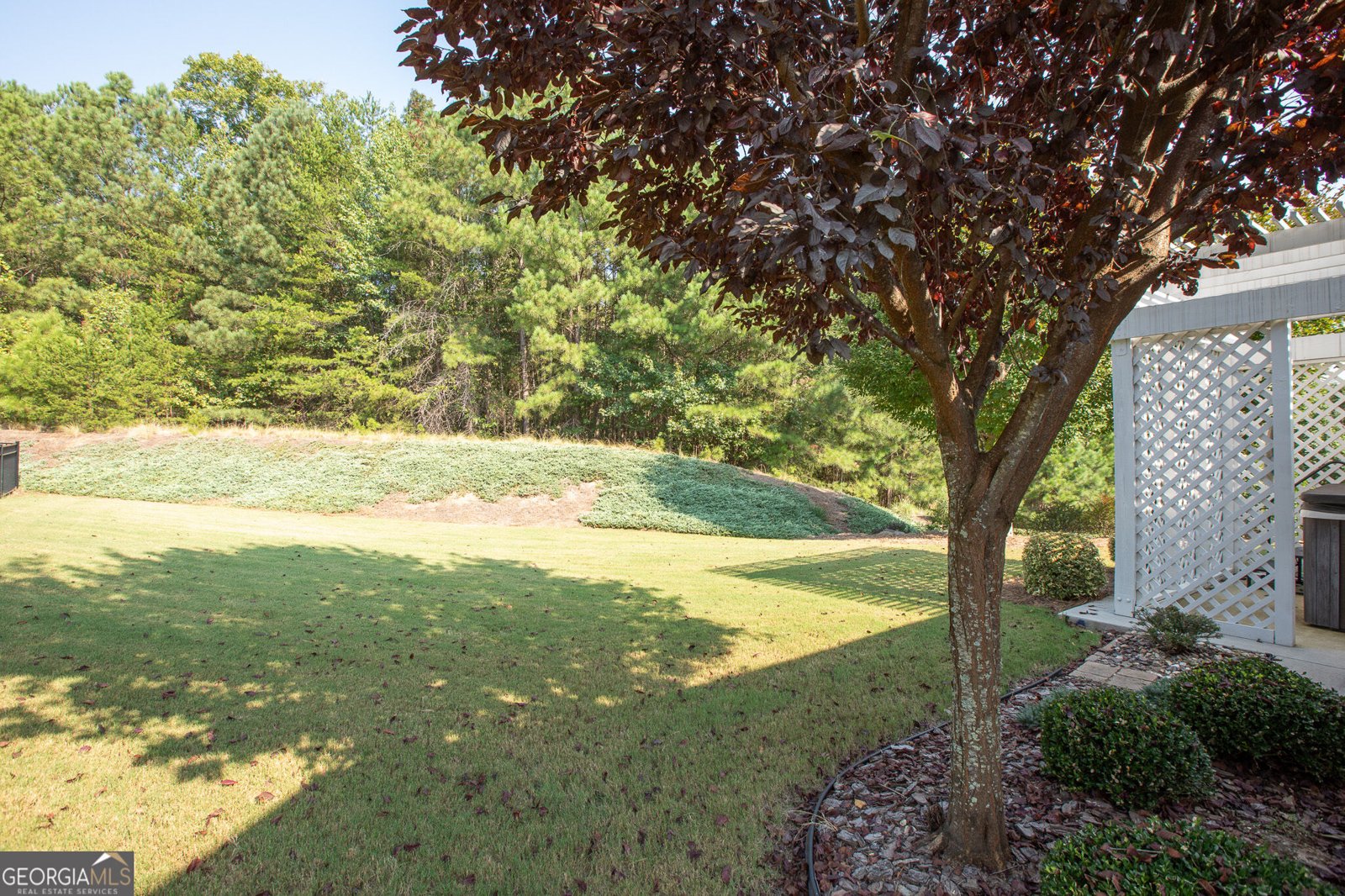 3609 Blue Cypress Cove Gainesville - Photo 25