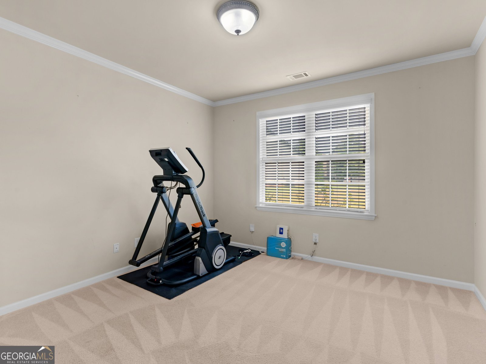 1136 Pebble Creek Lane Locust Grove - Photo 12